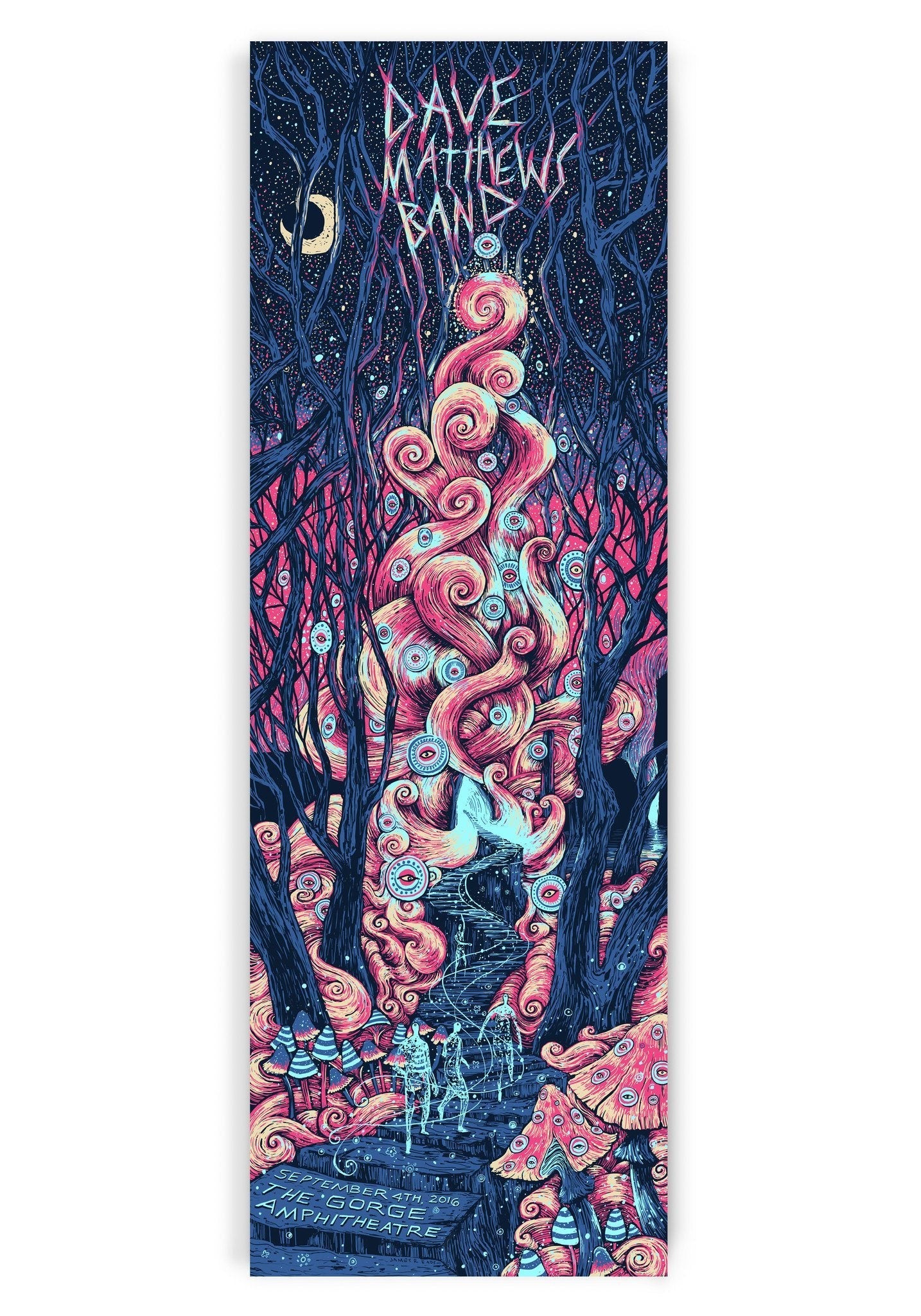 Dave Matthews Band Gorge N3 2016 (AP Edition of 120) Print James R. Eads