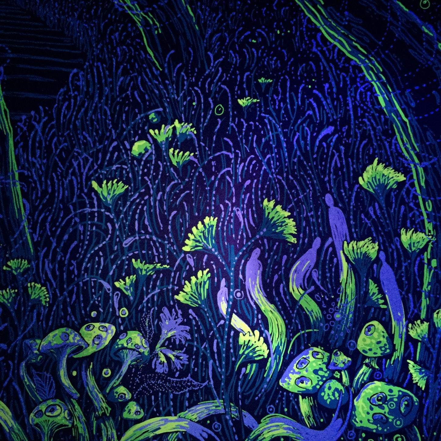 My Morning Jacket New Orleans, LA (AP Edition of 50) Print James R. Eads