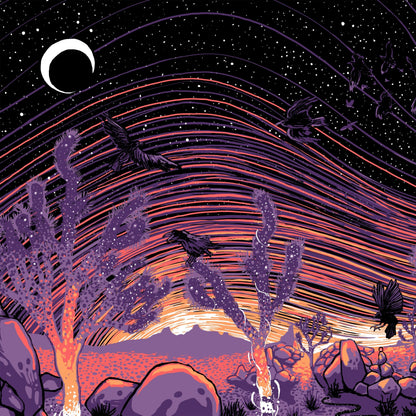 For the Birds, From Below (AP Edition of 10) Print James R. Eads