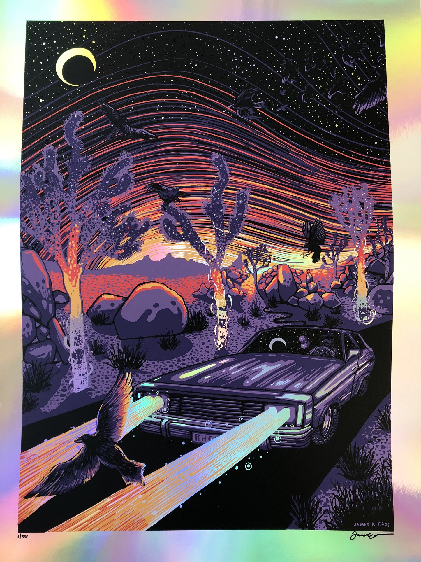 For the Birds, From Below (Rainbow Foil Edition of 50) Print James R. Eads