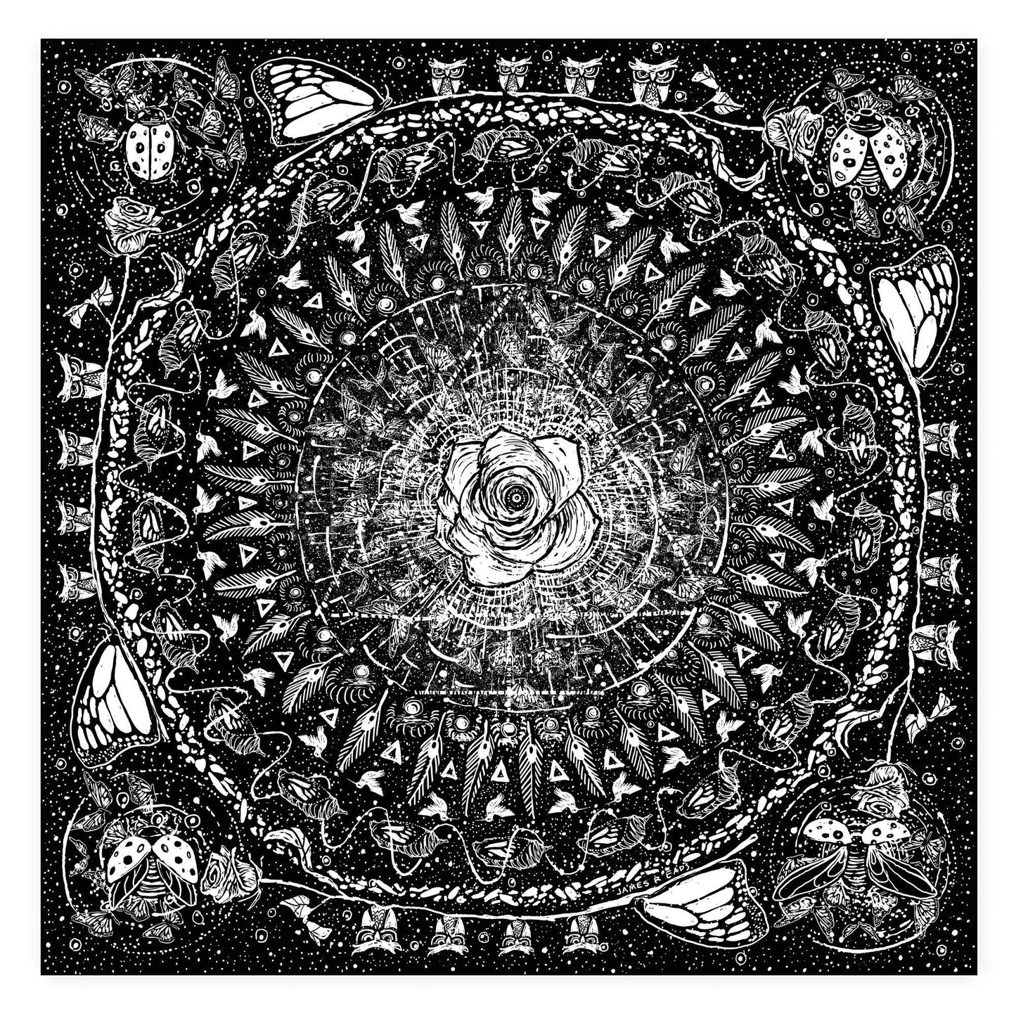 The Rosa Mandala (Limited Edition of 25) Print James R. Eads